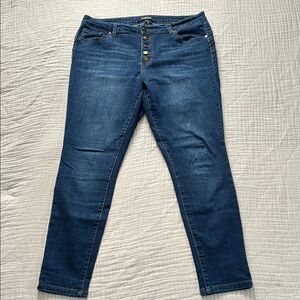 d. jeans Blue Skinny Jeans Classic Style - Size 14